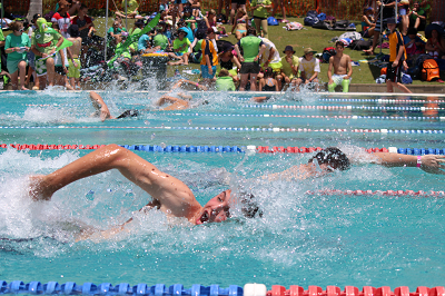 Swimming 4.png