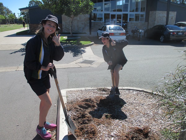 Xavier Day Mulching.jpg