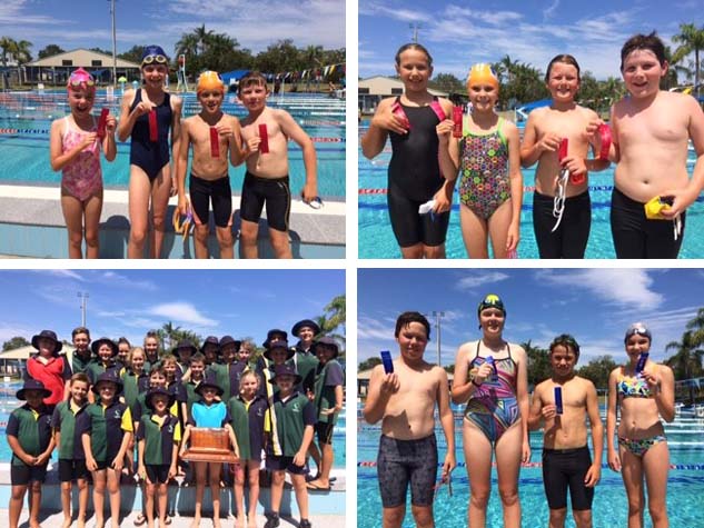 2016 District Swimming.jpg