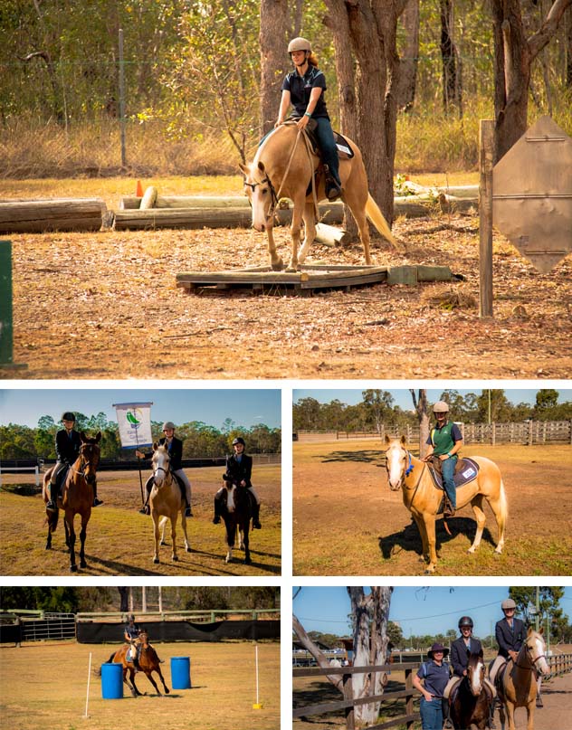 2017 Equestrian Competition.jpg