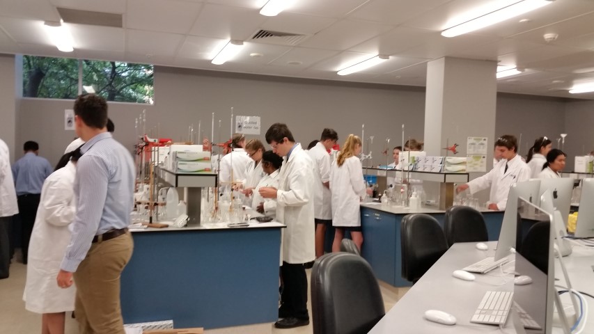 2017 XCats Titration.jpg