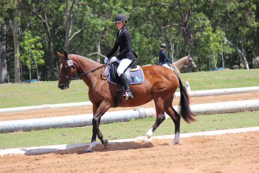 2021 Equestrian1.JPG