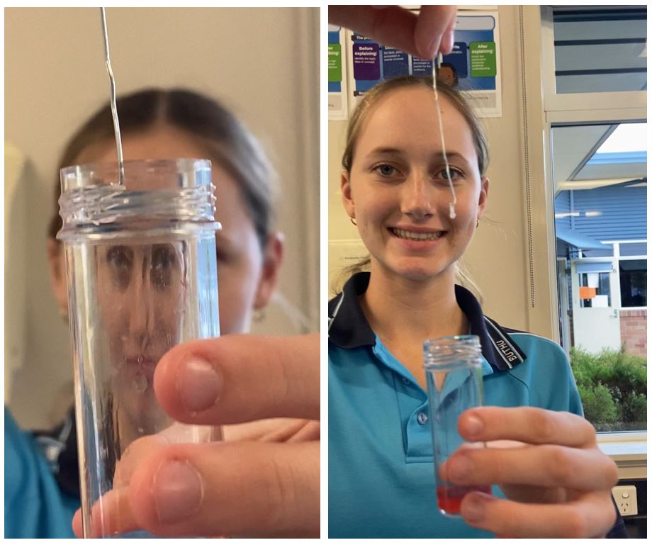 2021 Science Georgia DNA.JPG